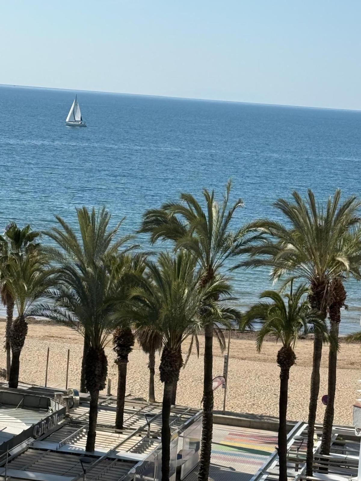 Santa Rosa Palmyra *